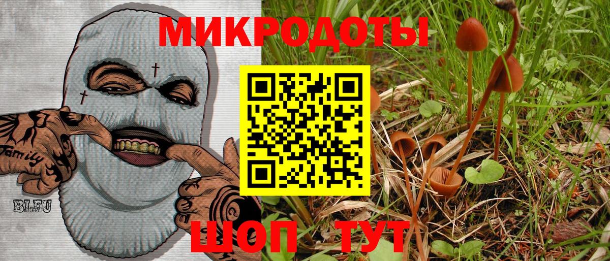 Знаменск  Галлюциногенные грибы GOLDEN TEACHER  Вход с VPN  Псилоцибиновые грибы Psilocybine cubensis 